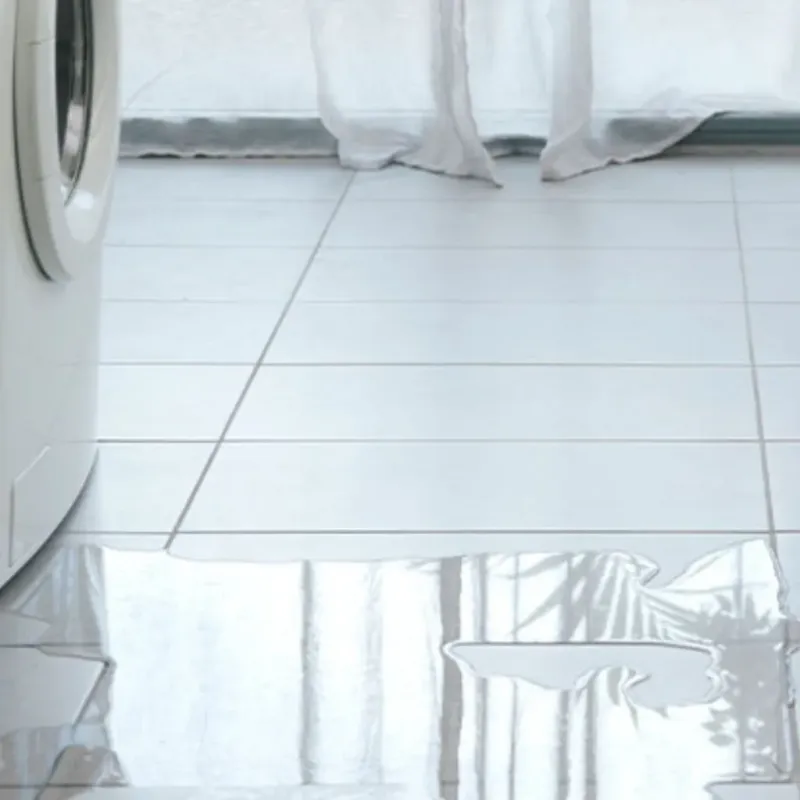 Appliance Leak Cleanup in Washington, MO
