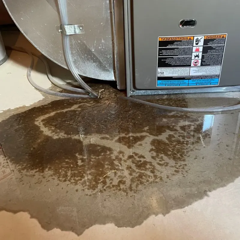 Pipe Burst and Leak Restoration in Washington, MO